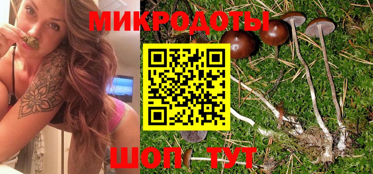Галлюциногенные грибы GOLDEN TEACHER  Вход с VPN  Егорьевск 